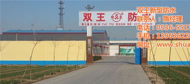 建筑速溶膠粉 雙王防水 隔墻板專用建筑速溶膠粉